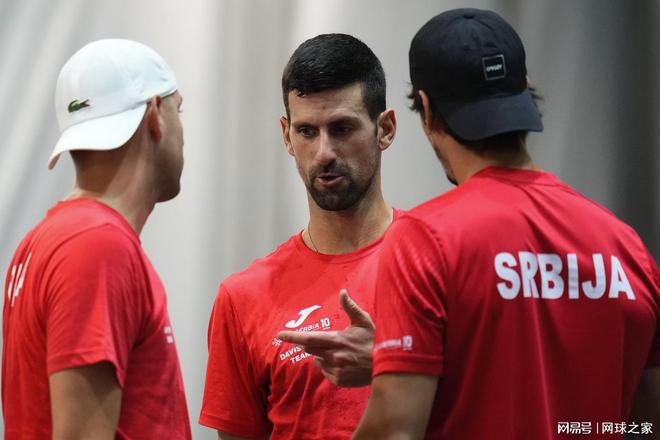 叶落归根 叶落归根