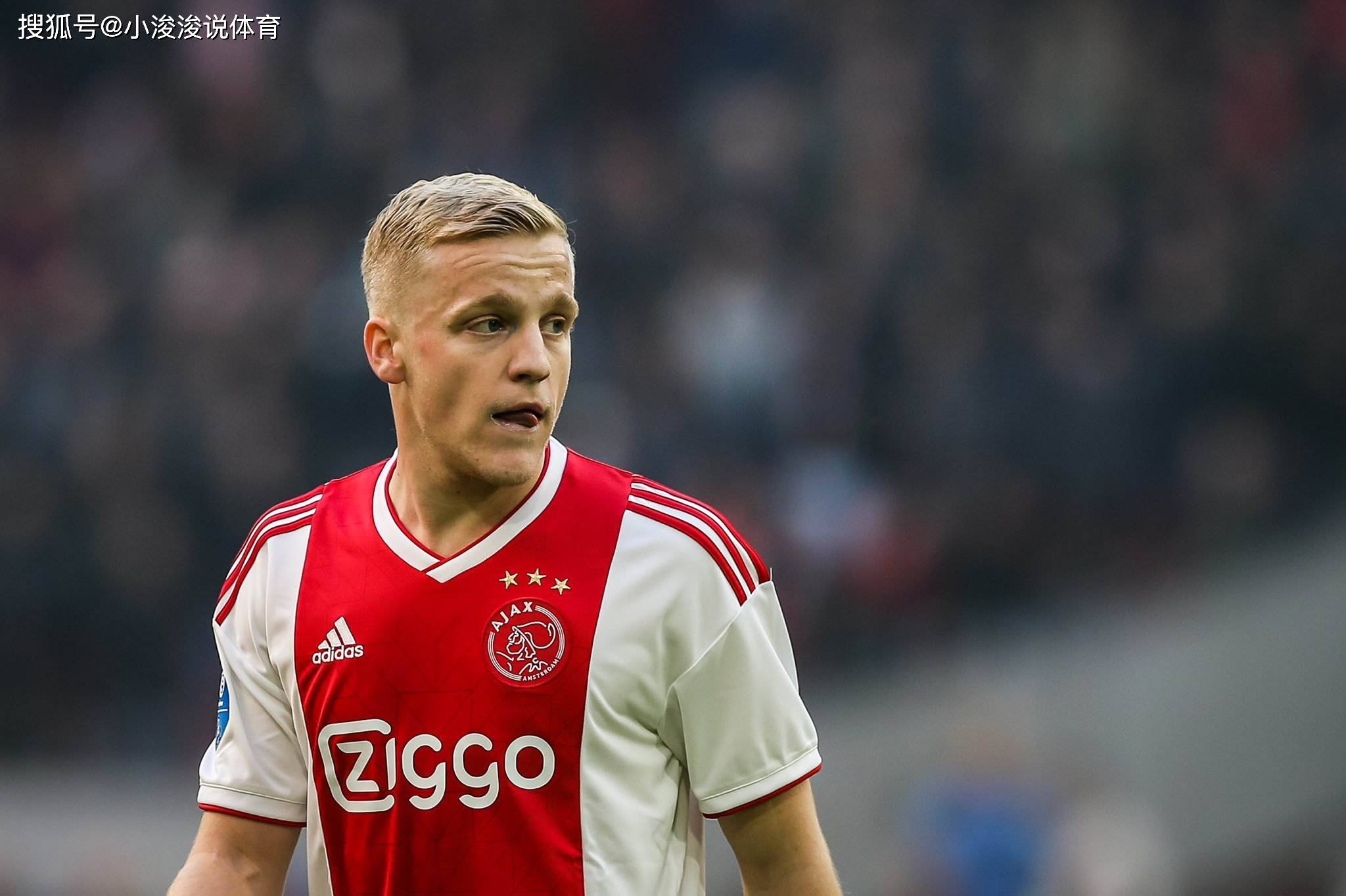 主题头像框 主题头像框